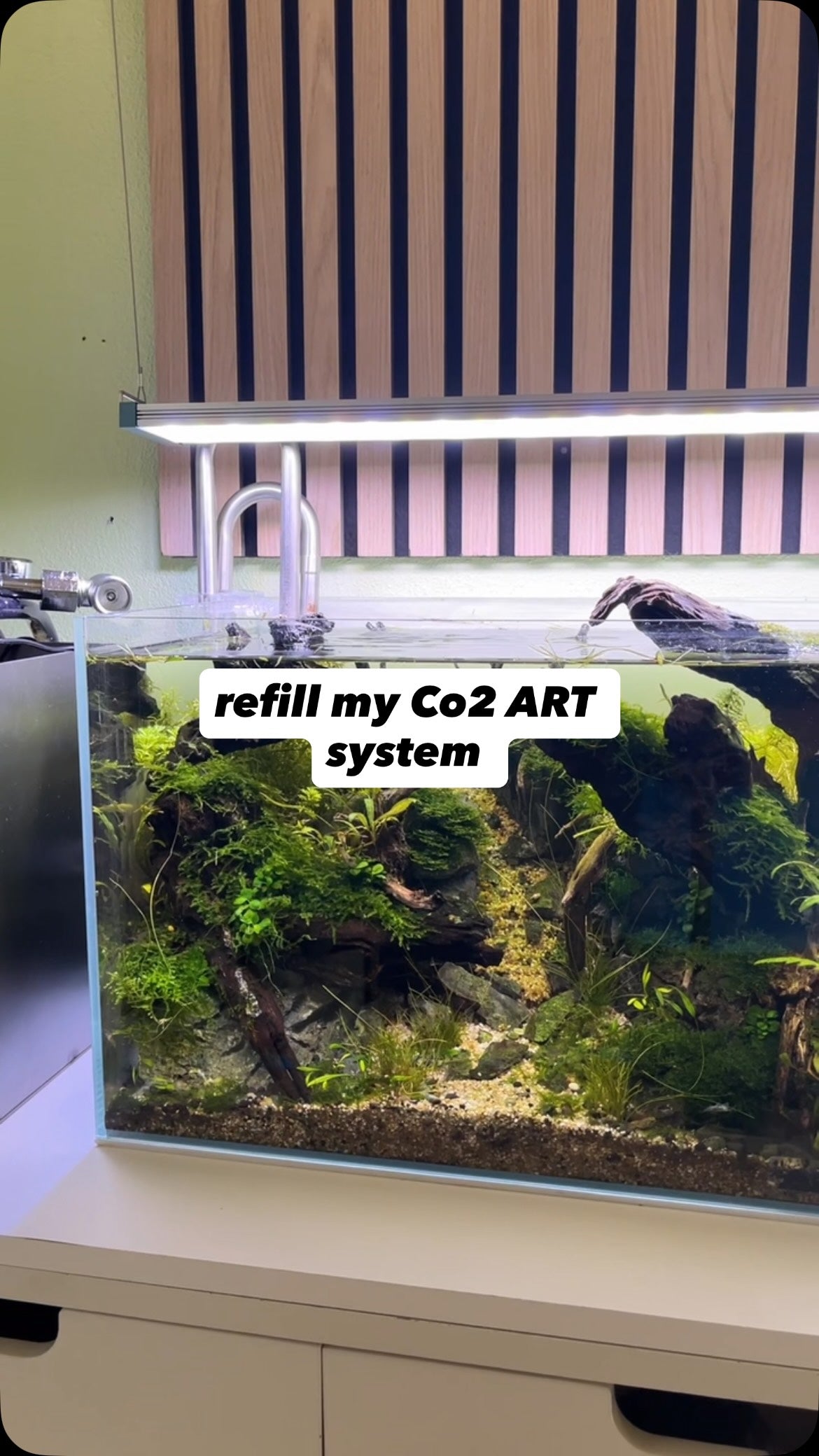 Instagram објава од @jj.scaping.a
