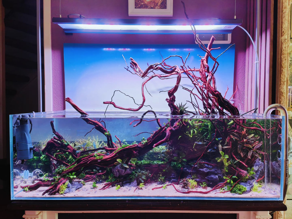 Instagram објава од @aquascapebarendrecht