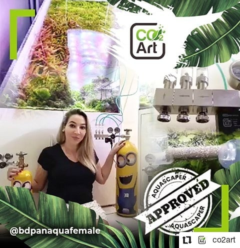 Instagram post by @bdpanaquafemale